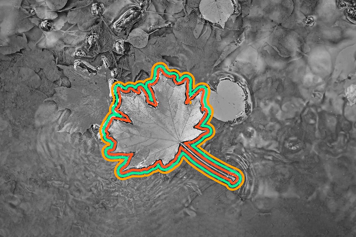 FACTS ABOUT AUTUMN SEASON visual data 2