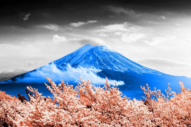 13 Facts That Will Change How You Look at the World