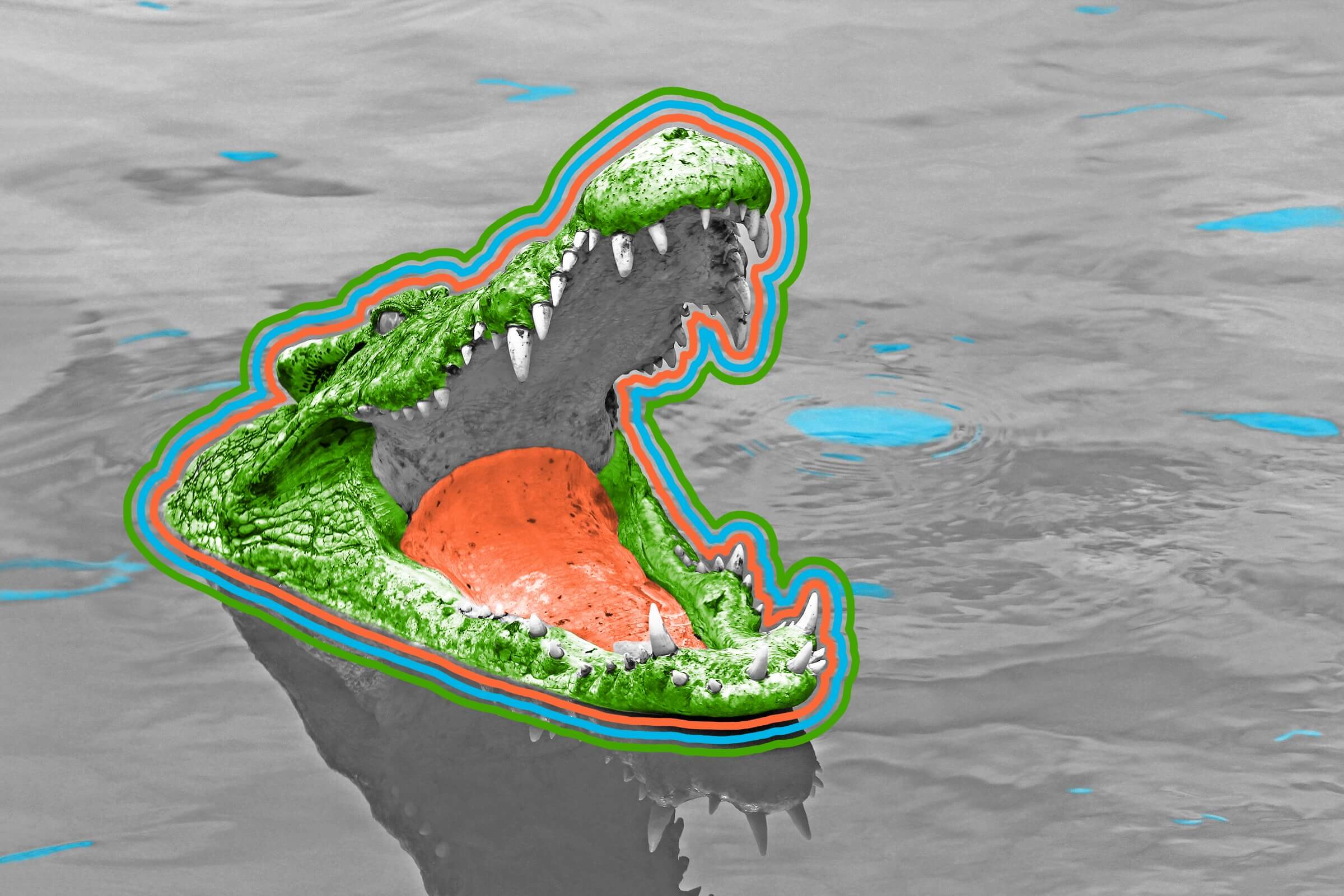 Crocodiles can’t stick out their tongues. - Interesting Facts