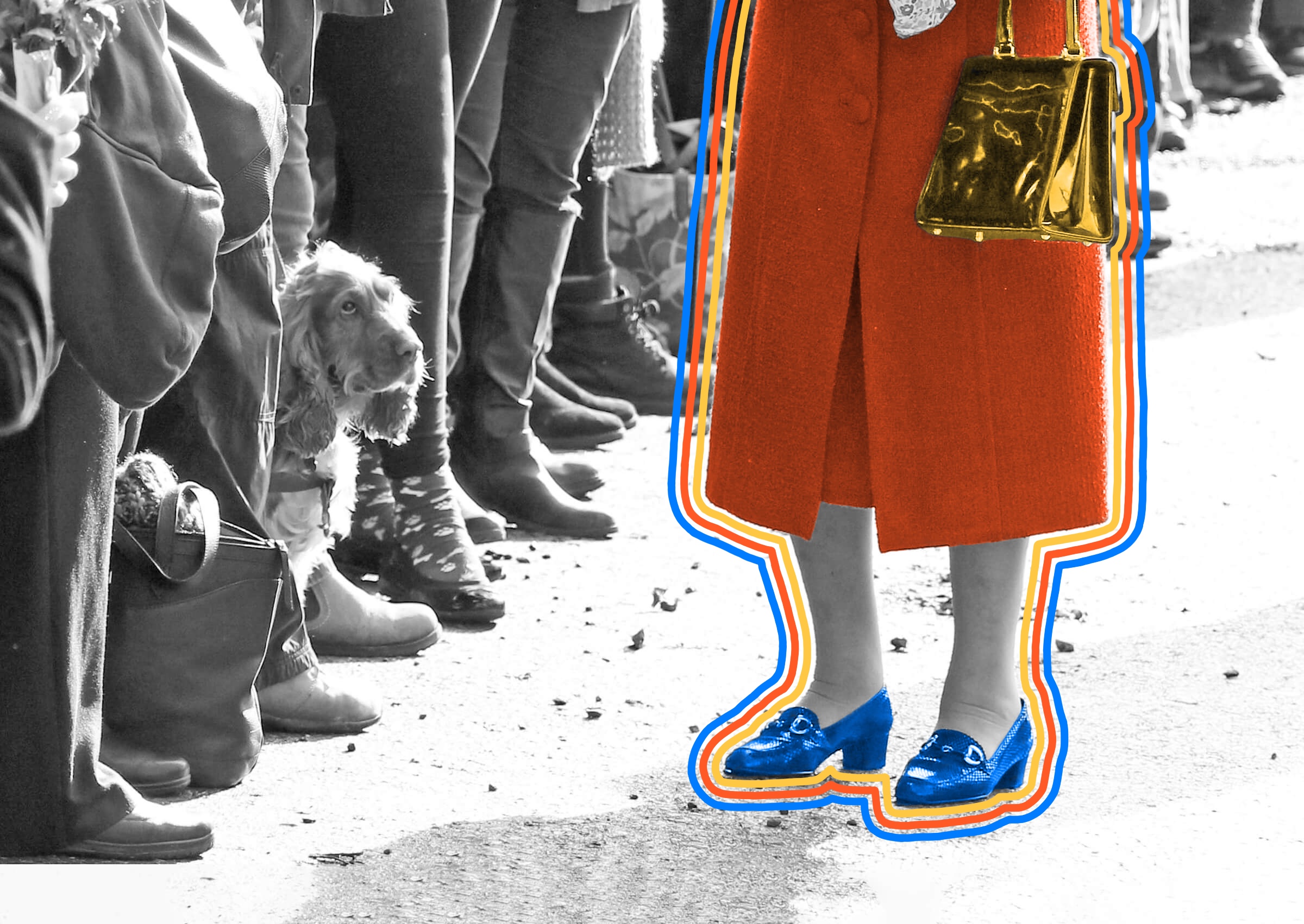 interestingfacts.com