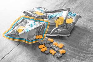 Goldfish snack crackers