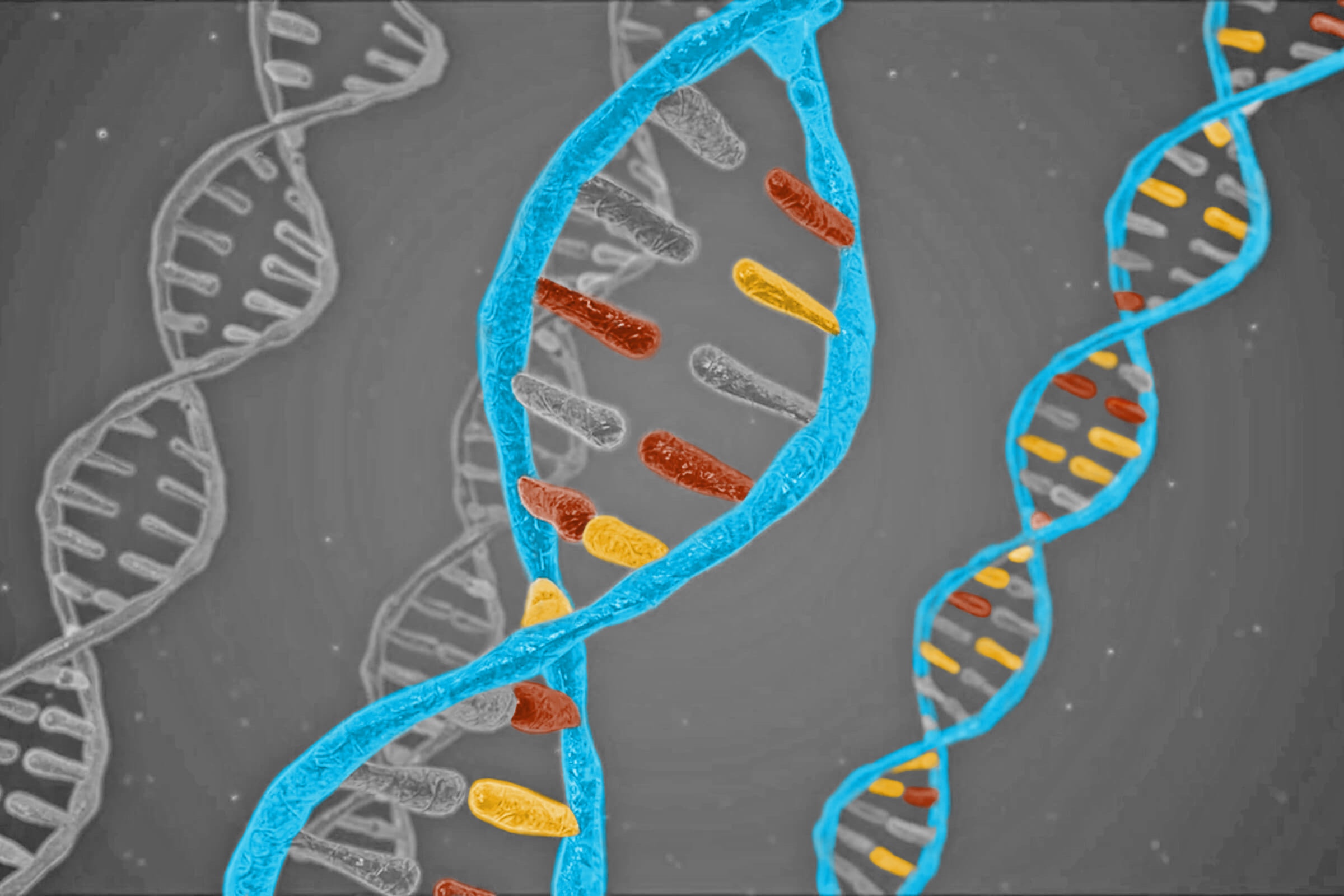 5 Facts About How Our Genes Work - Interesting Facts