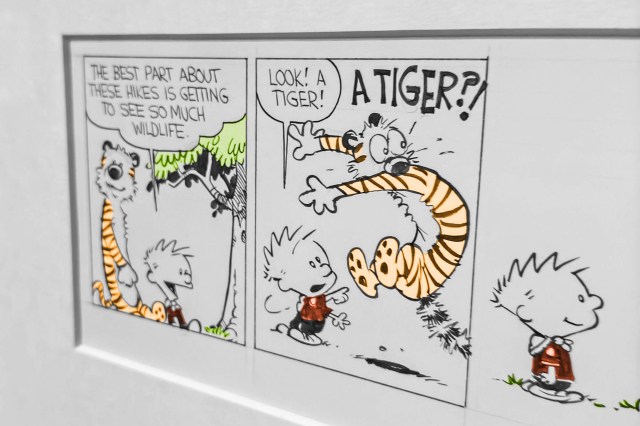 Comic strip panels from "Calvin and Hobbes"