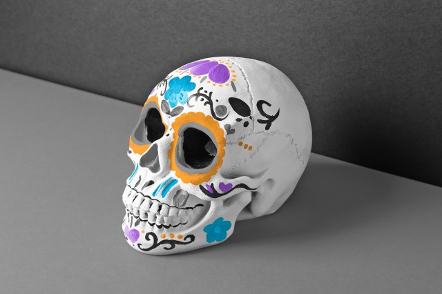 Brightly-painted sugar skull