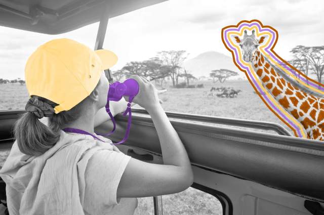 A woman watching wild giraffes on an African safari