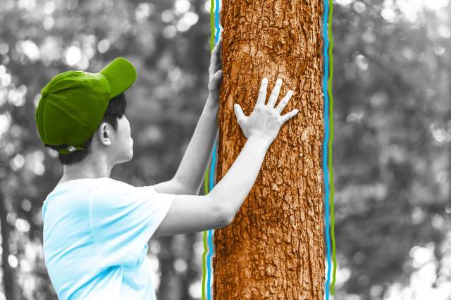 Human touching a tree in the forest