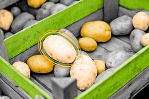 Wooden crate filled with potatoes