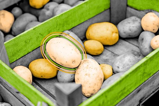 Wooden crate filled with potatoes