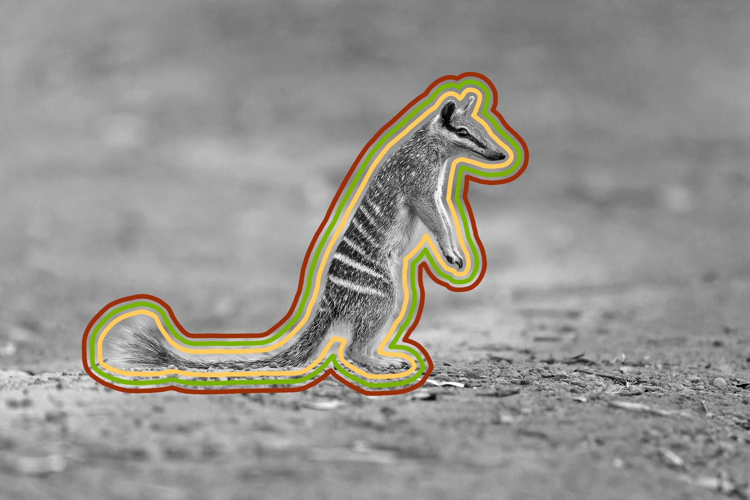 Calculator visual data 2