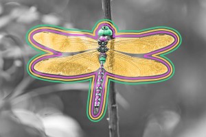 Macro photo of a blue-eyed darner clinging to a twig