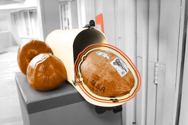Coconut in mailbox