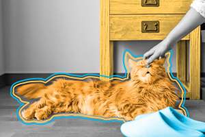 Orange cat lying on hardwood floor