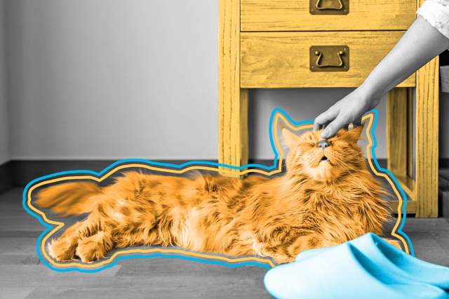 Orange cat lying on hardwood floor