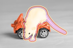 Baby rat in a toy car