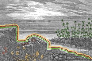 Landscape of the Earth during the Devonian Period