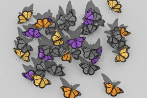 Multicolored butterflies