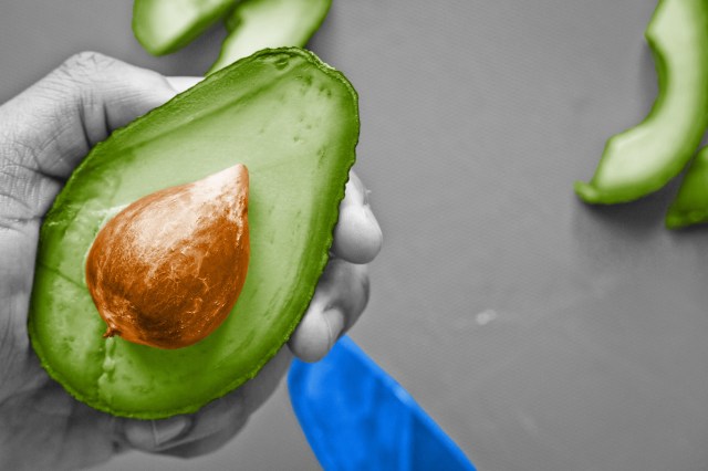 Hass avocado sliced in half