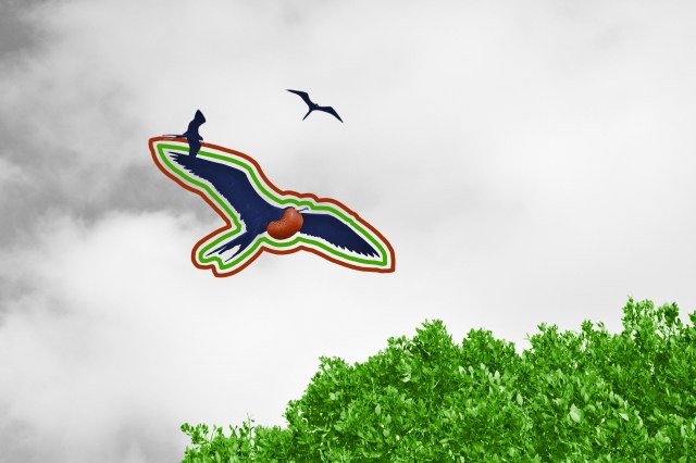 Frigatebird bird in Sian Kaan Biosphere Reserve in Yucatan, Mexico