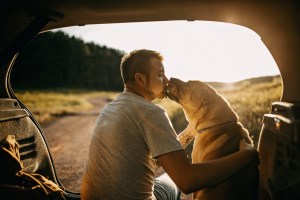 A man and a dog in car spending time in the outdoors.